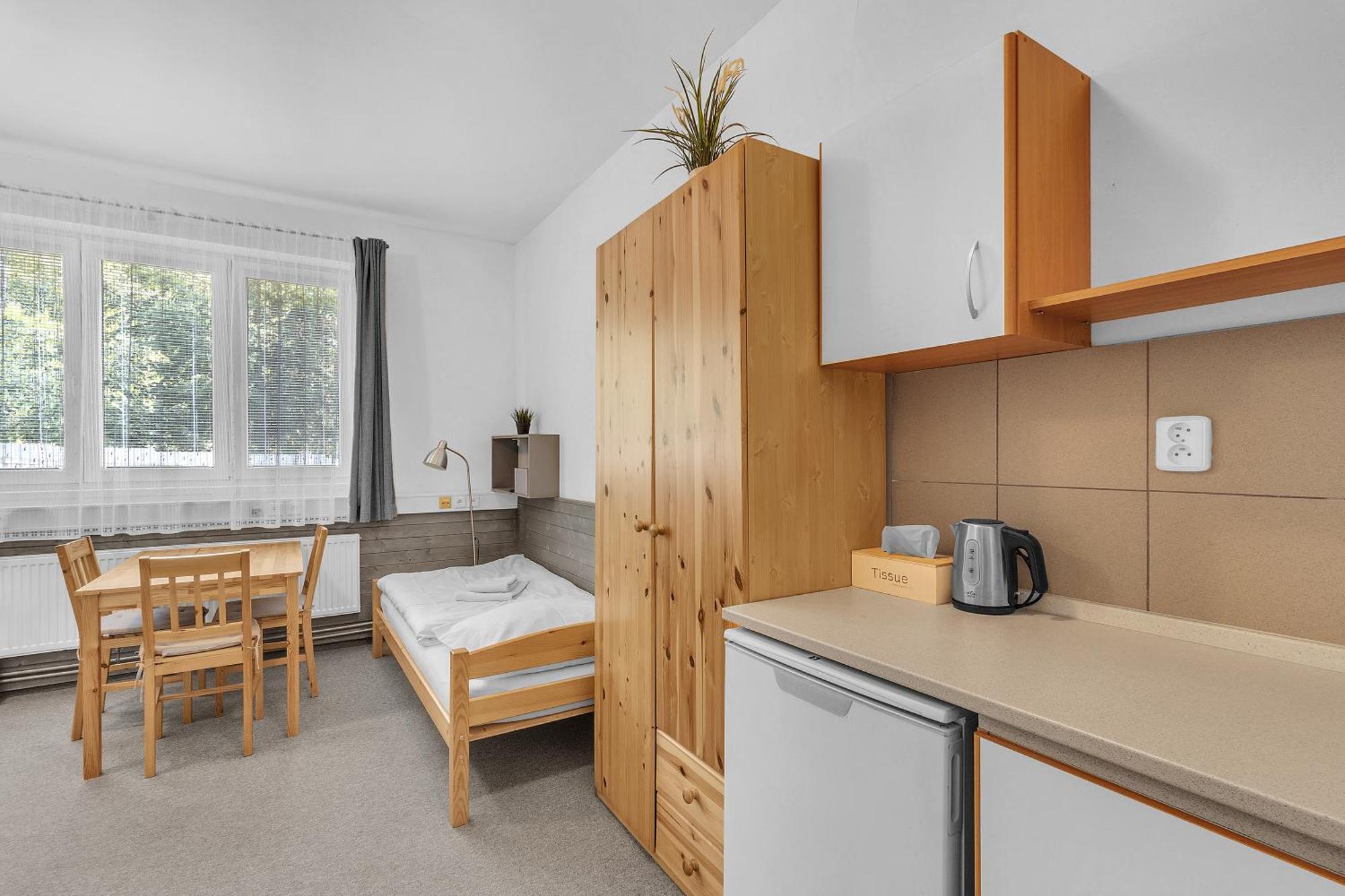 Apartmany A Ubytovani Premyslova, Hradec Králové Dış mekan fotoğraf